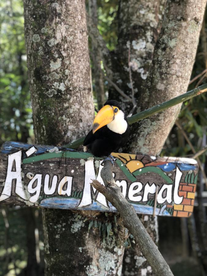 ホテル Fazenda Morro Pelado Águas de Lindóia エクステリア 写真